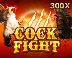 Cock Fight